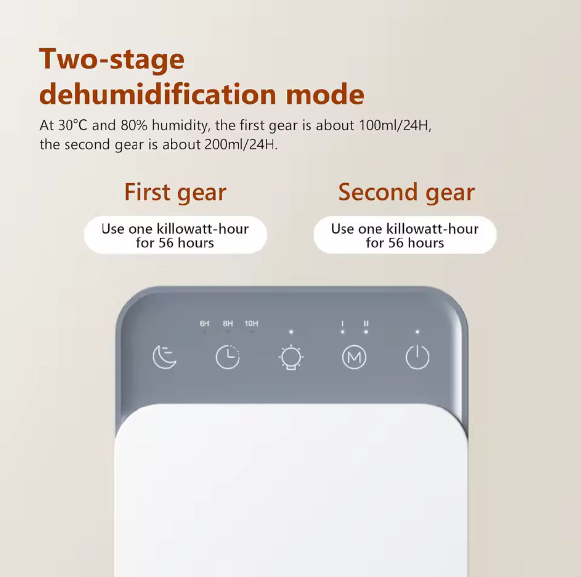 Breathe Freely in a Fresh, Mold-Free Home